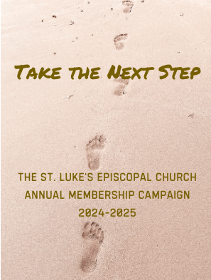 Logo for Take the Next Step Annual Campaign